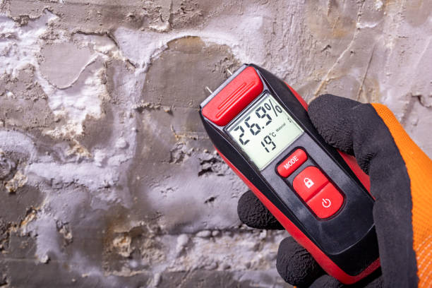 Best DIY Mold Remediation Support Services in Jamestown, NY